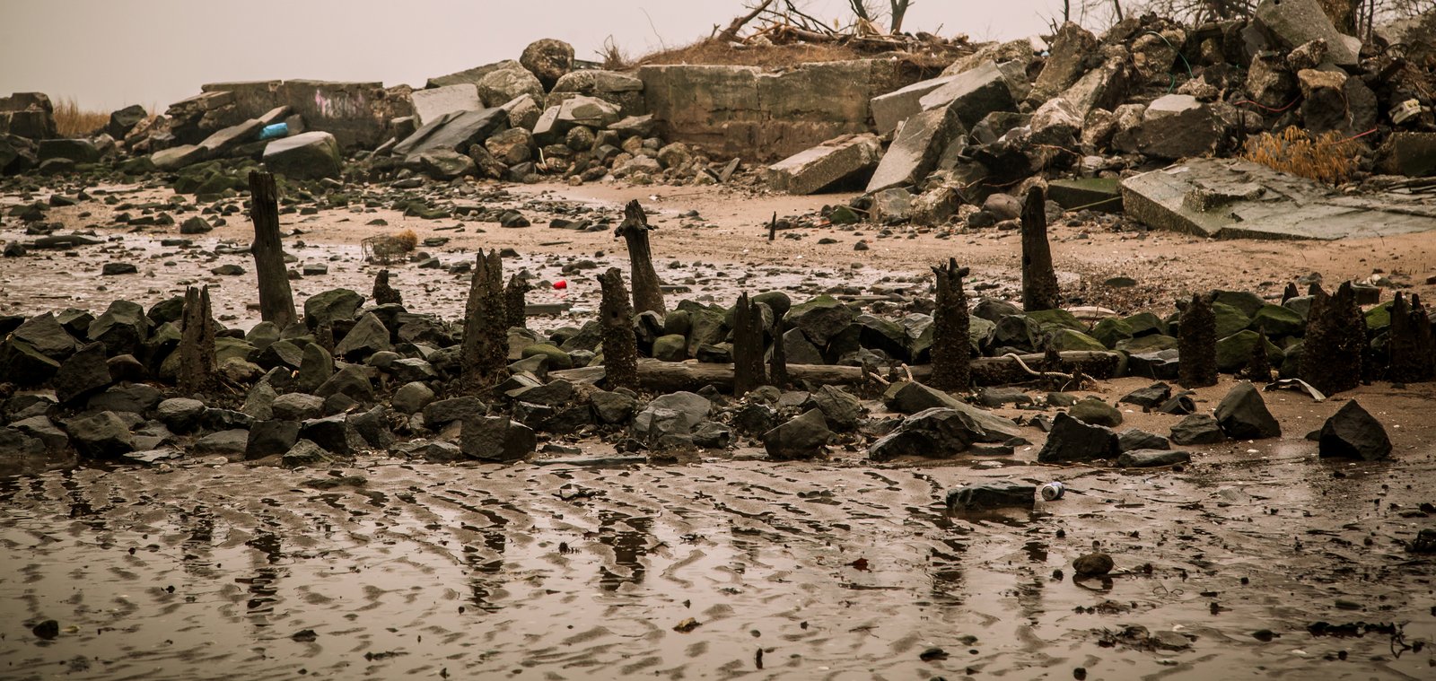 art-of-sandy-mo-staten island 2-84.jpg